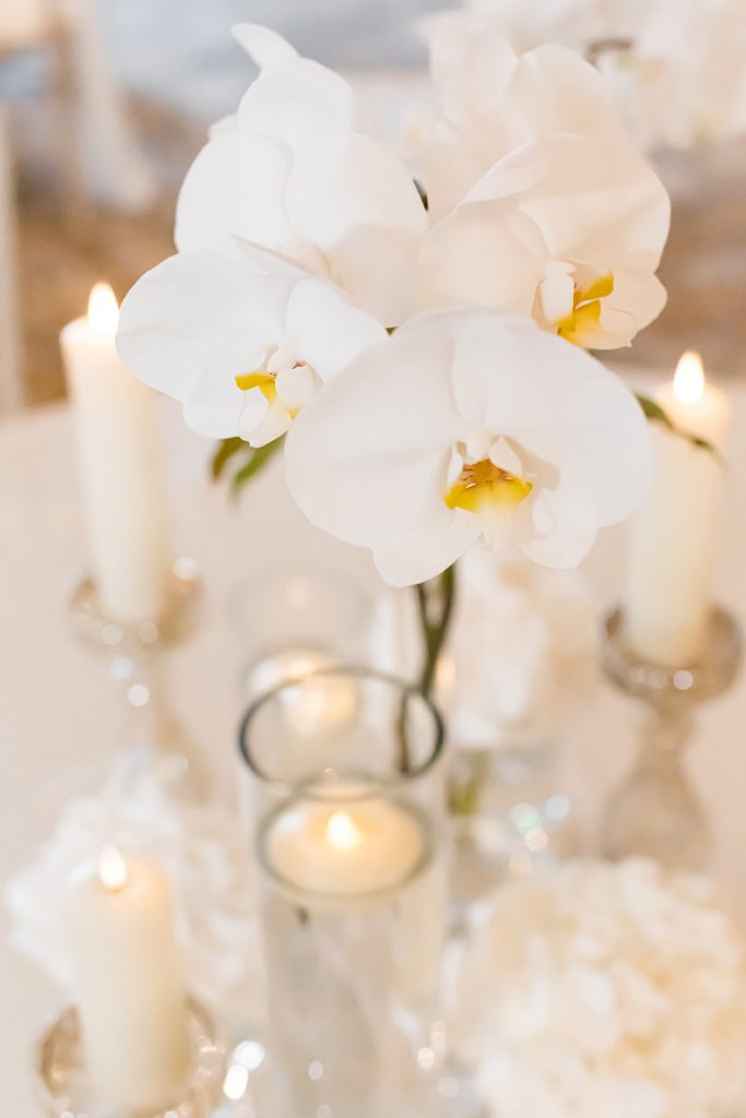 Dusk wedding reception shoot featuring all white styling and couture gowns
