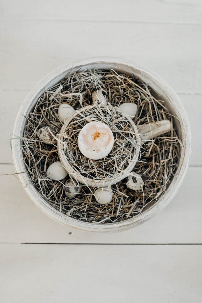 A duck egg, poached hen’s egg + boiled quail’s egg plate for grazing board style wedding breakfast