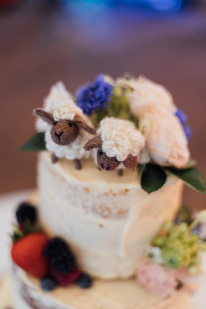 Rosie + Andy's wedding | Amy-Rose Photography