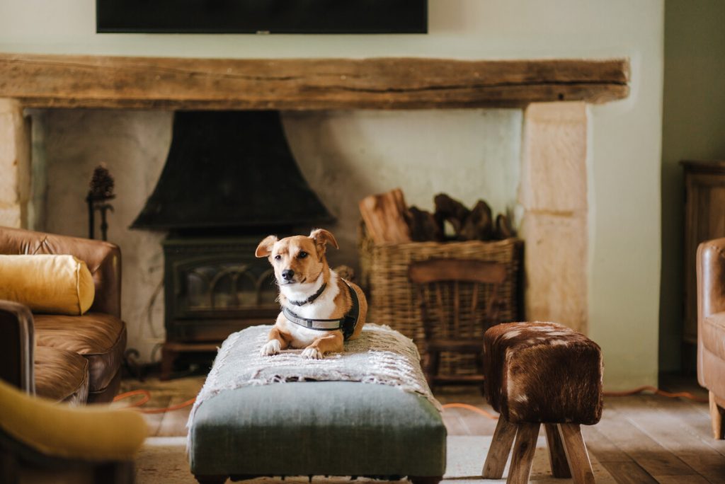 Emily Hudson Photography