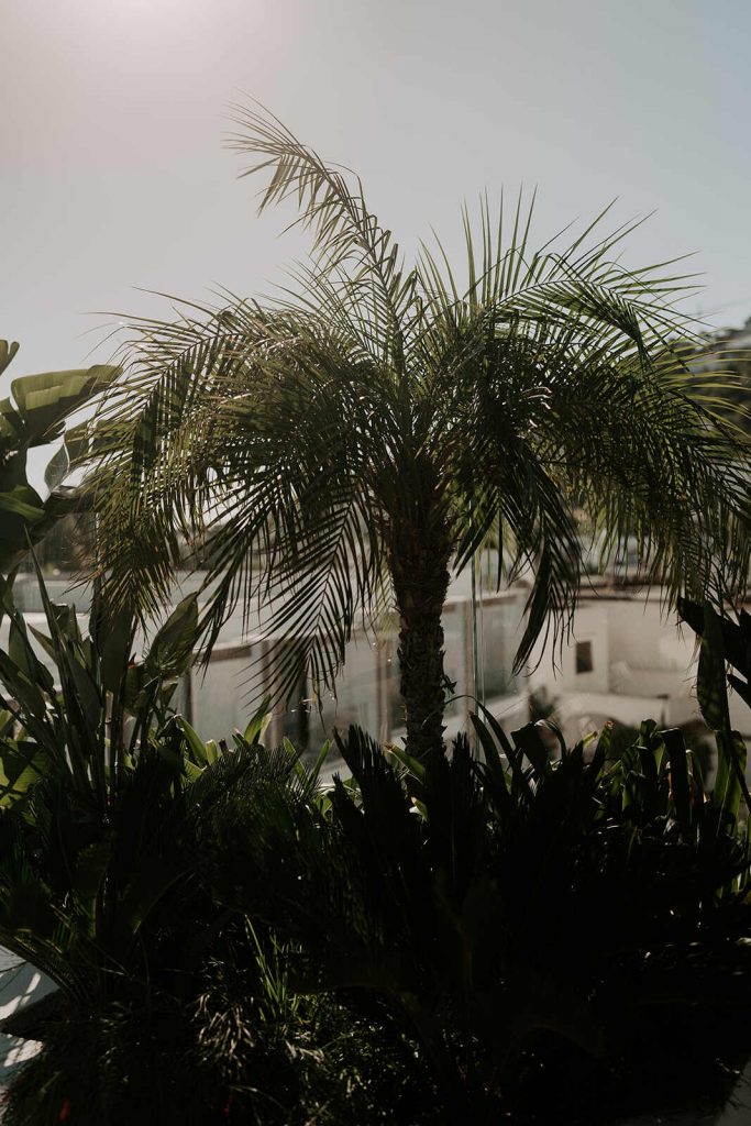 Mood board ideas for Ibiza styling | Mose & Design Studio