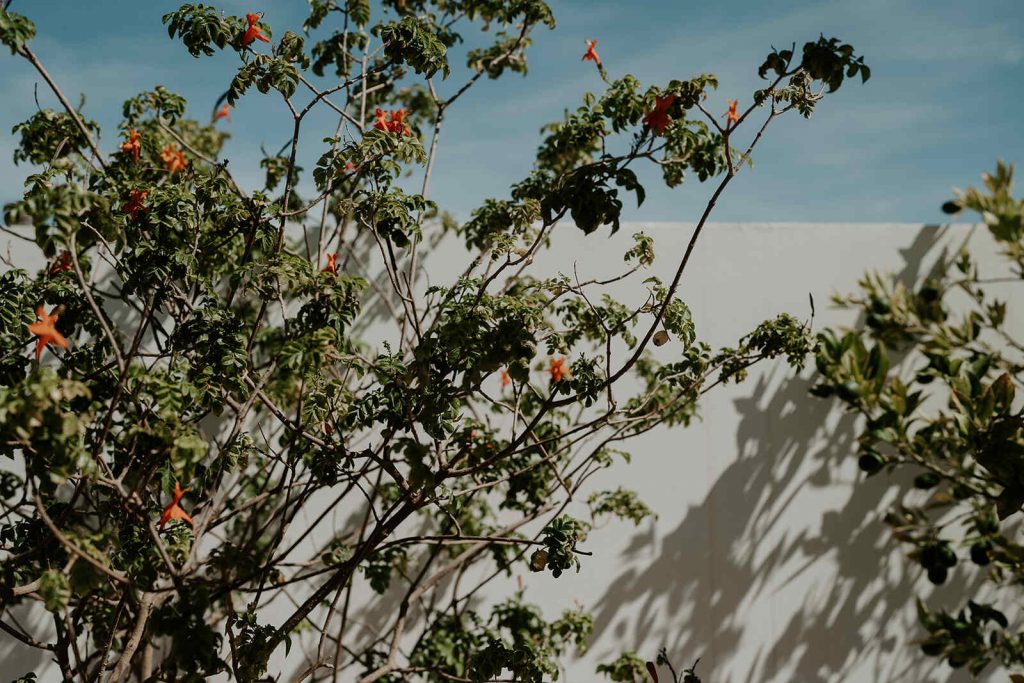 Mood board ideas for Ibiza styling | Mose & Design Studio