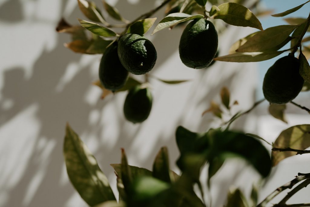 Mood board ideas for Ibiza styling | Mose & Design Studio