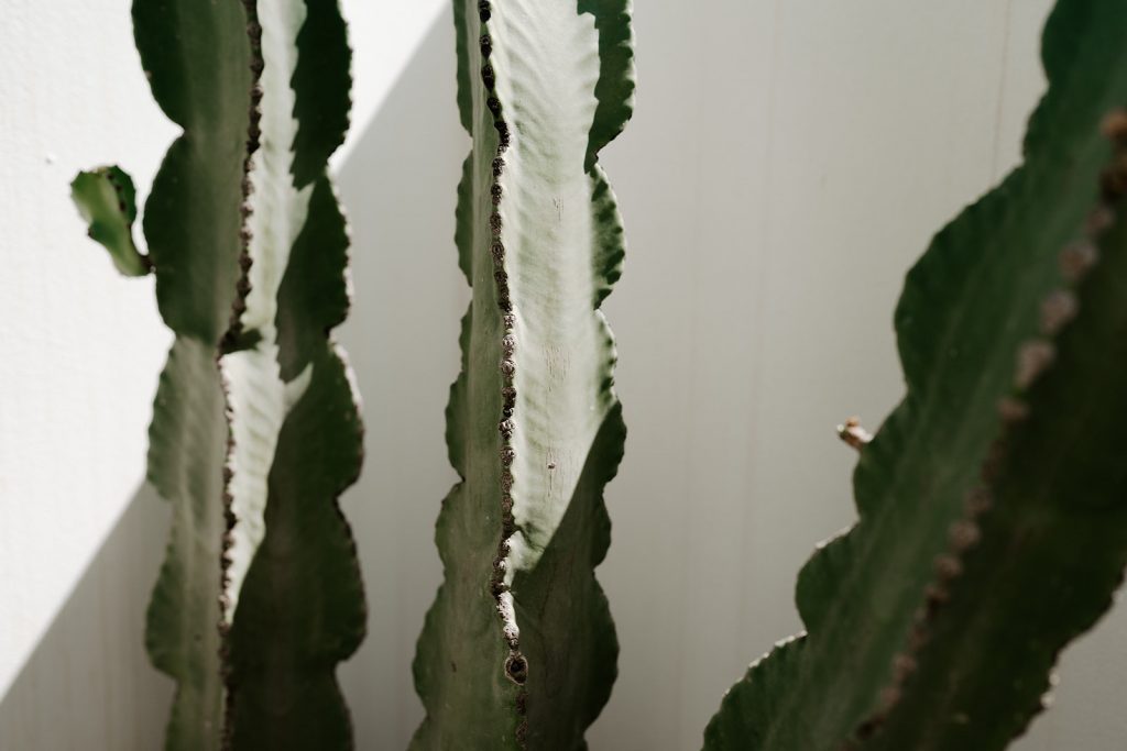 Mood board ideas for Ibiza styling | Mose & Design Studio